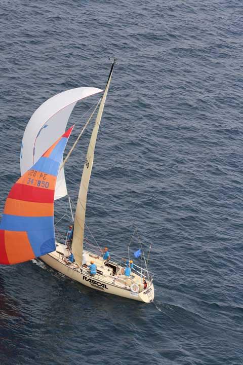ABBOTT 36