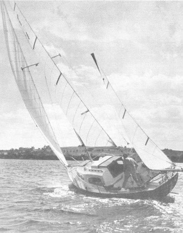 ACADIAN 30 (PACESHIP)