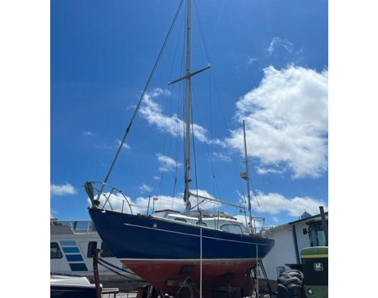 ACADIAN 30 YWL (PACESHIP)