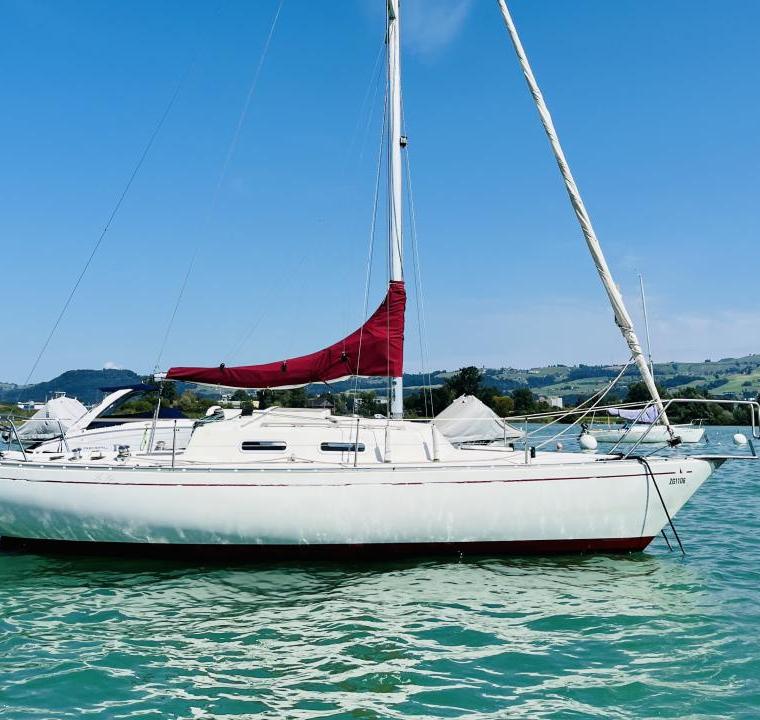 ACCENT 26 (ALBIN)