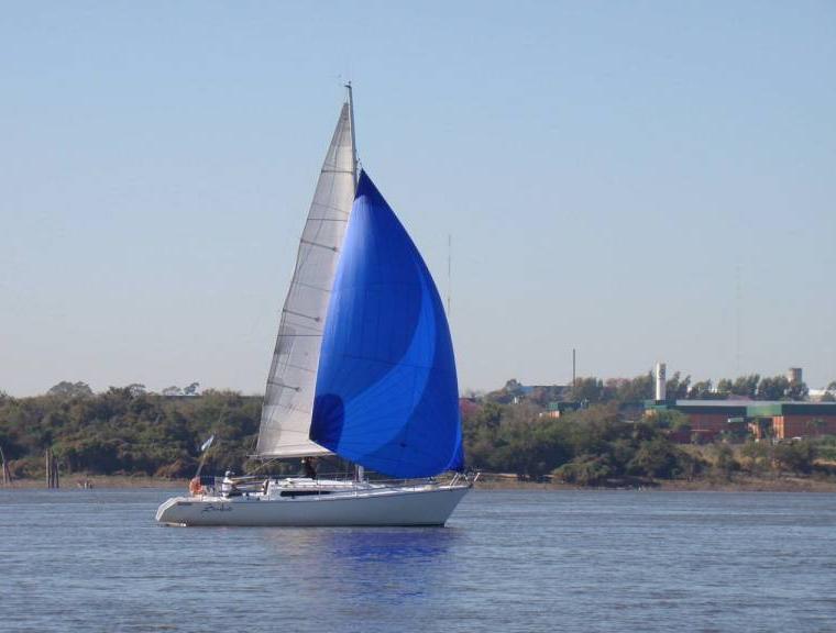 ALBATROS 950