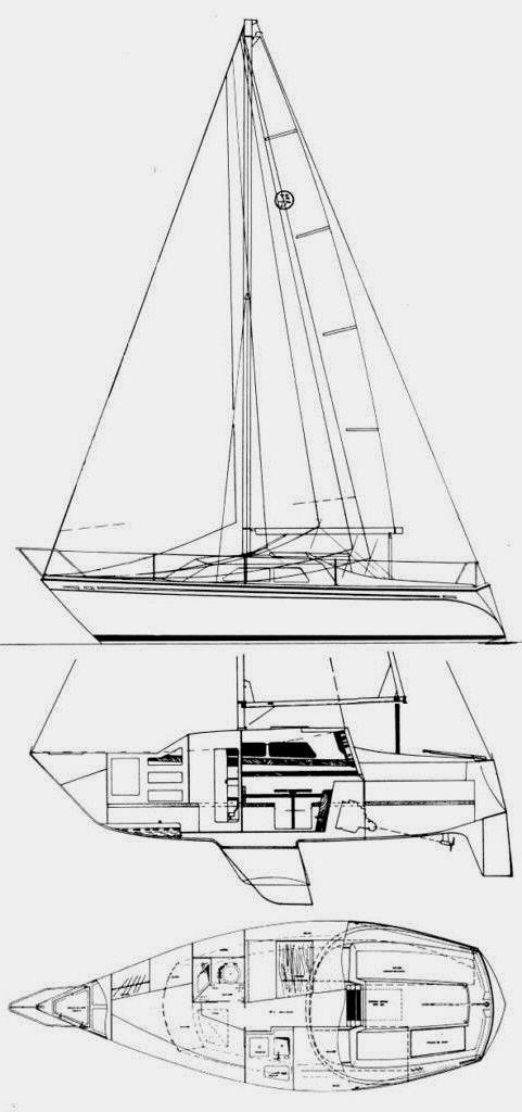 ALBATROZ 27