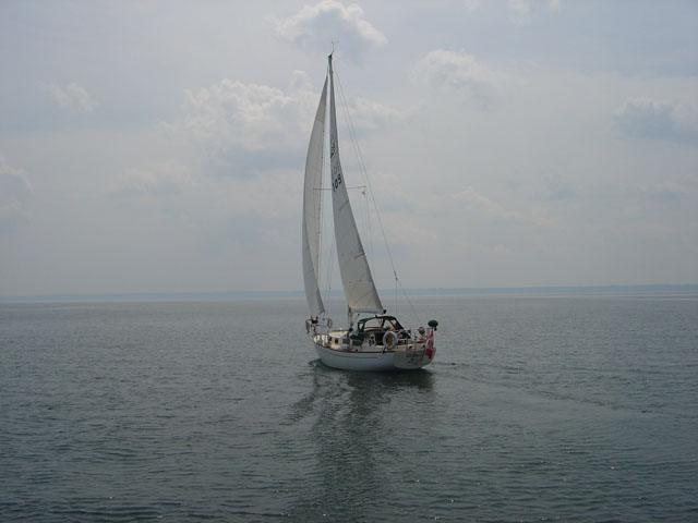 ALBERG 29