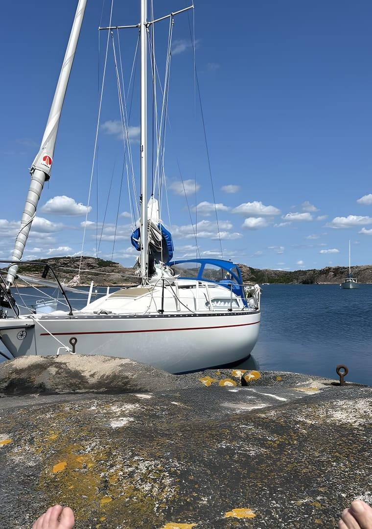 ALBIN 7.8