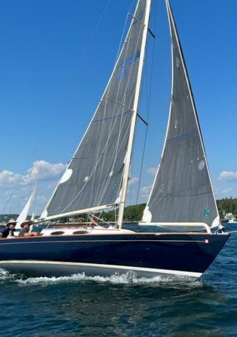 ALERION 26 (CARROL MARINE)