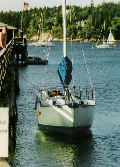ALEUTKA 25