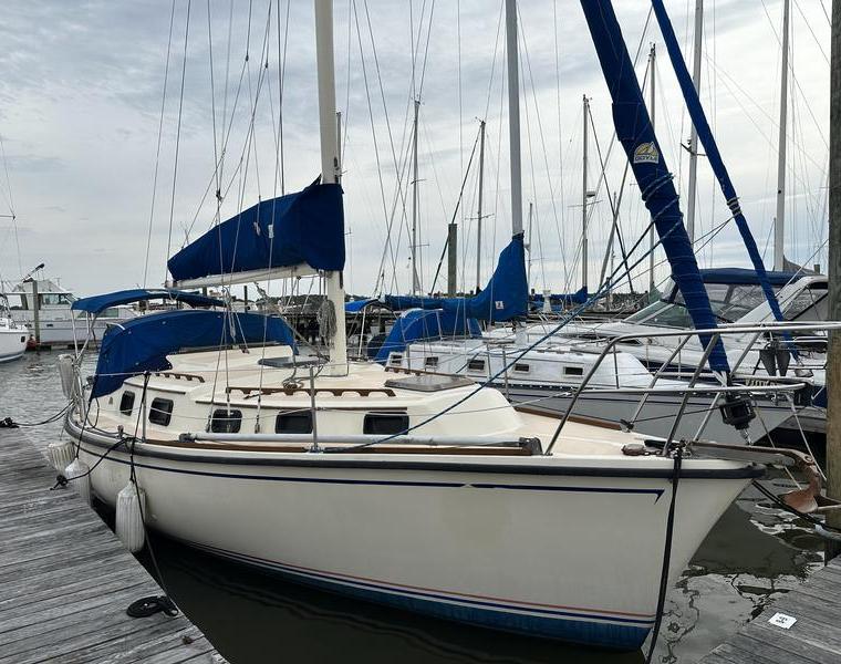 ALLMAND 31