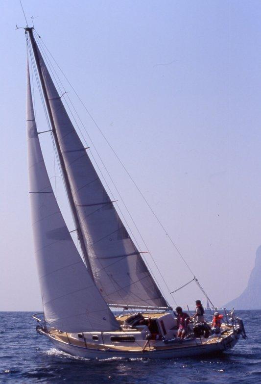 ALPA A34
