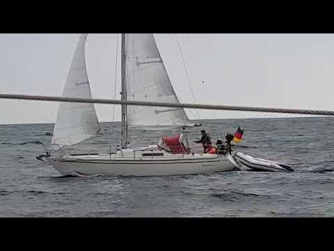 ALPHA 29 (ALBIN)