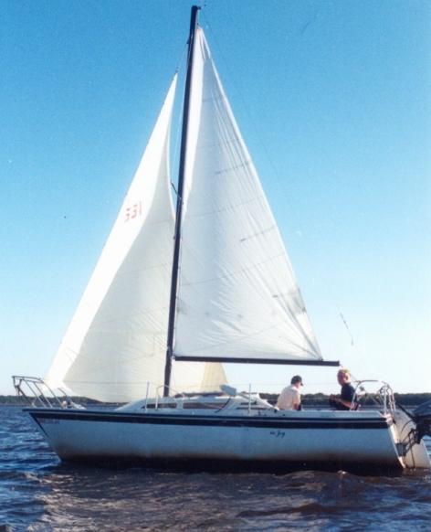 AMERICAN 23