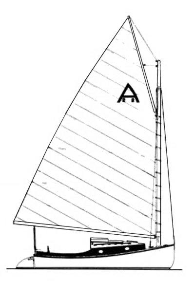 AMERICAT 22