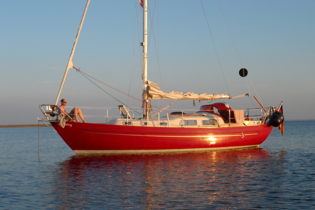 AMIGO 33
