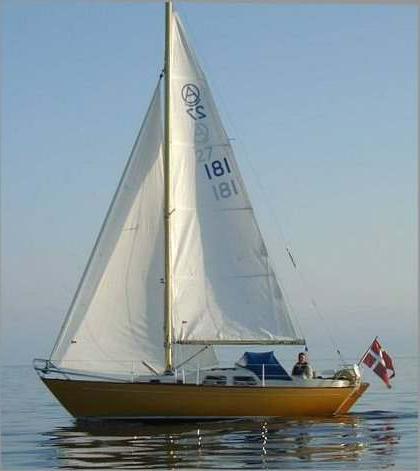 AMIGO 40