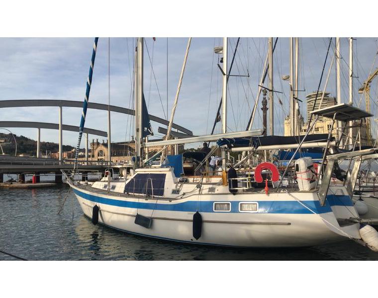 AMPHITRITE 45 MS (WAUQUIEZ)