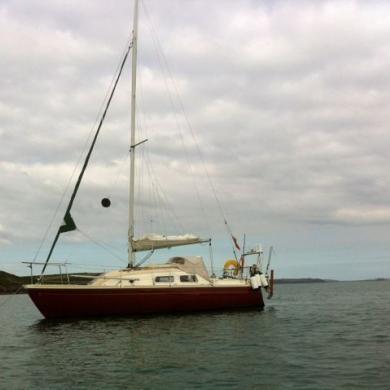 ANDERSON 26