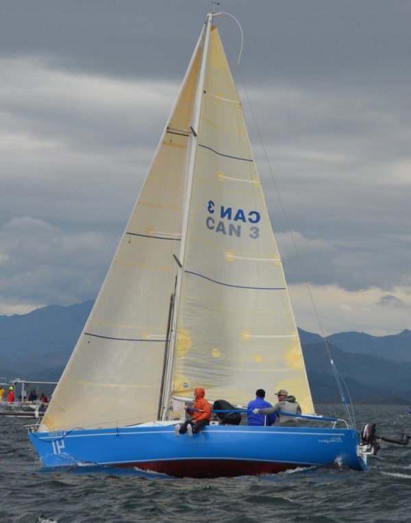 ANDREWS 26