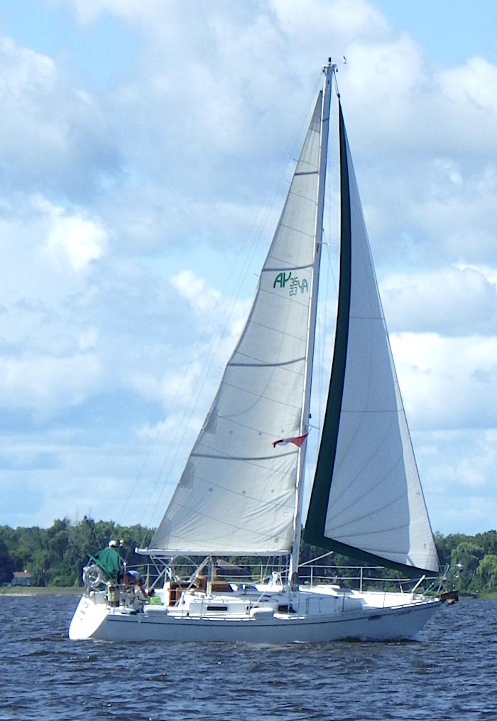 ARAGOSA 35