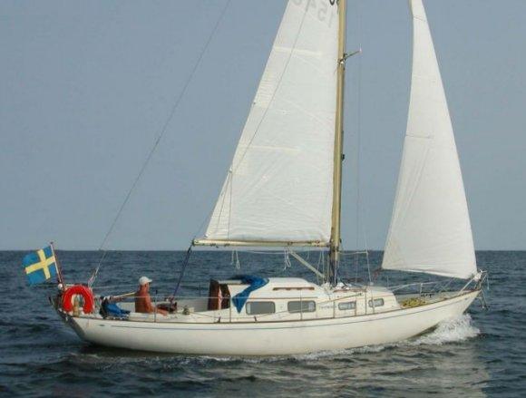 ARIETTA 31