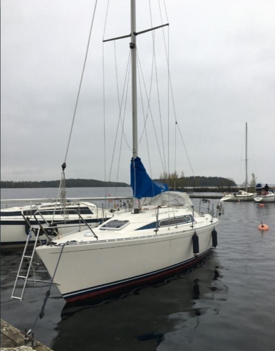 ARTINA 29