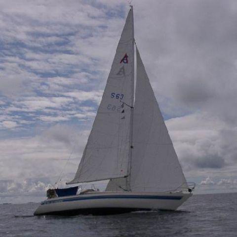 ATHENA 34