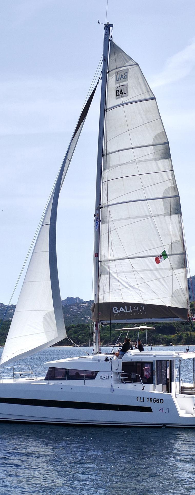 BALI 4.1