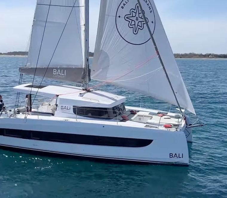 BALI CATSMART