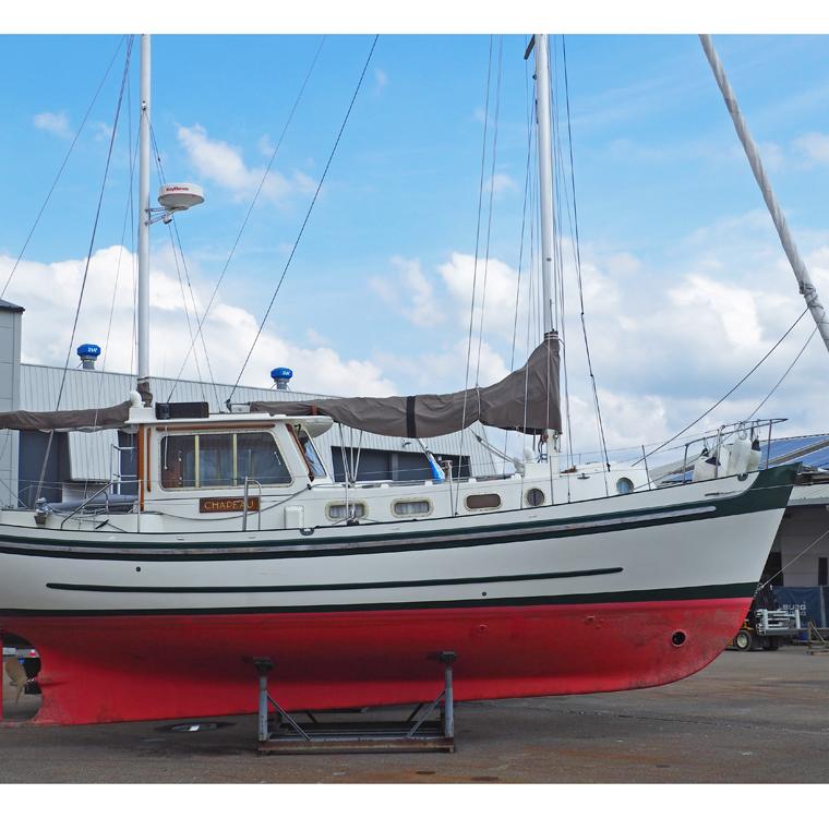 BANJER 37