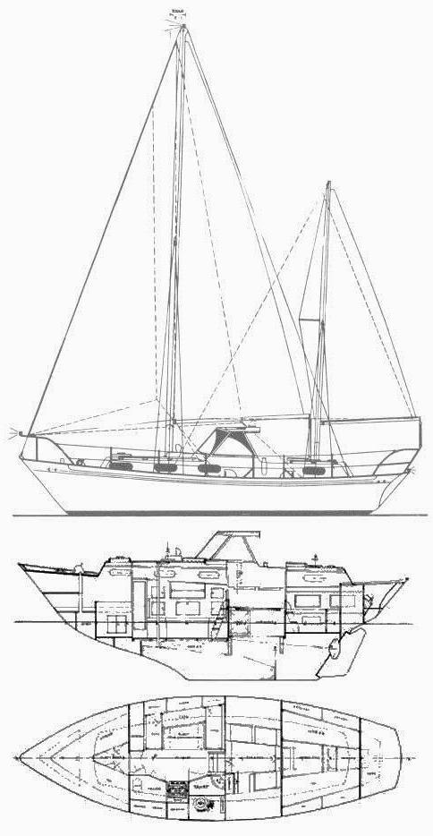 BARBARY 32