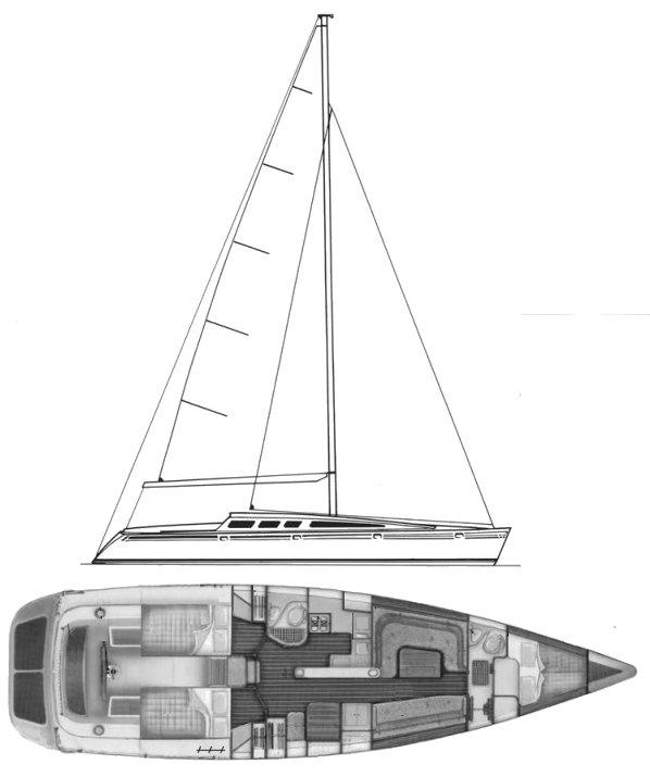 BARRACUDA 45