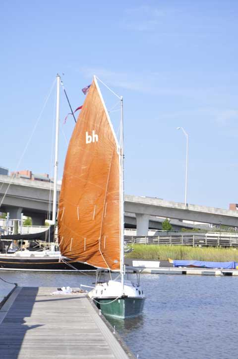 BAY HEN 21