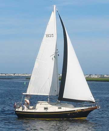 BAYFIELD 25