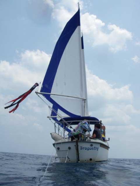 BEACHCOMBER 25