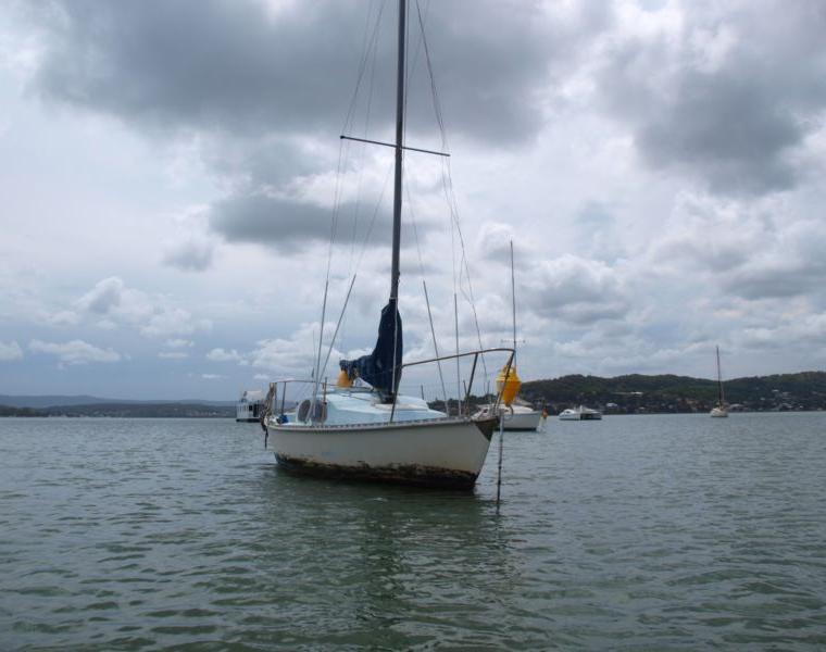 BLUEBIRD 22