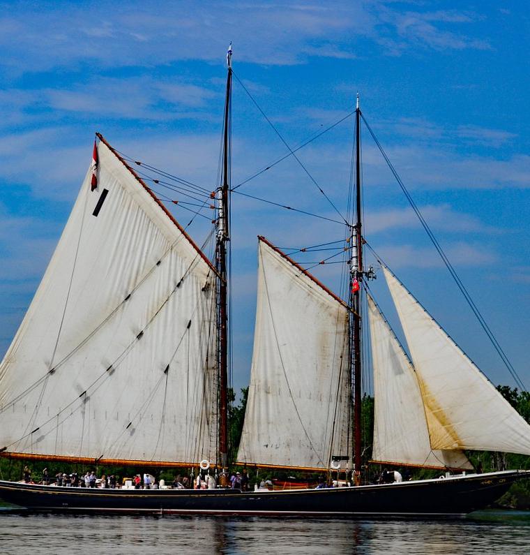 BLUENOSE