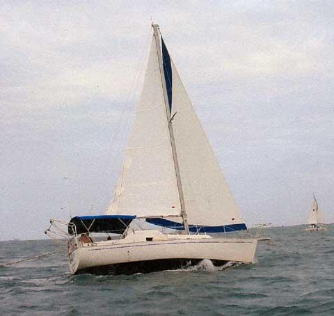 BOMBAY CLIPPER 31