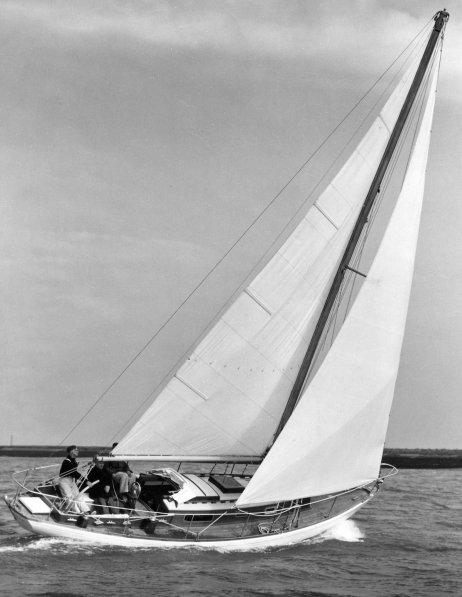 BONITO 35