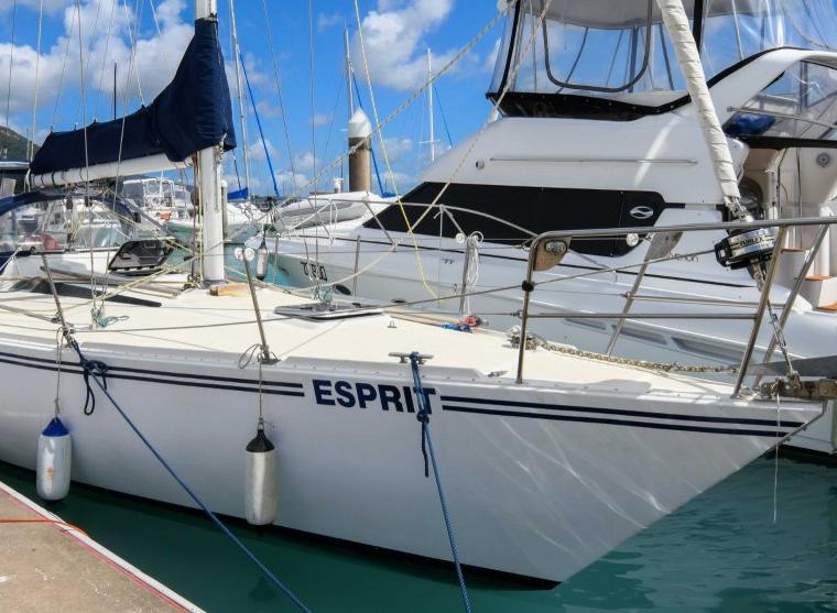 BOUNTY 35 (COLE)