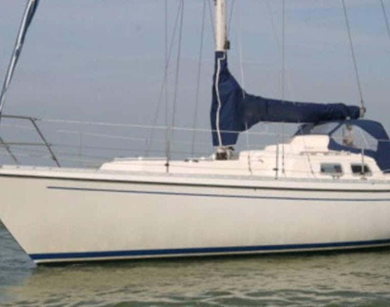 BREEHORN 31