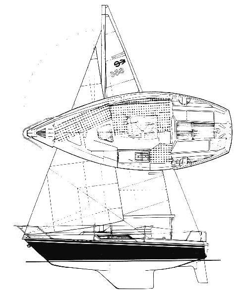 BREEHORN 44