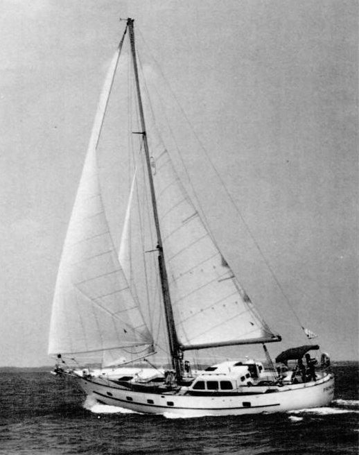 BREWER 46