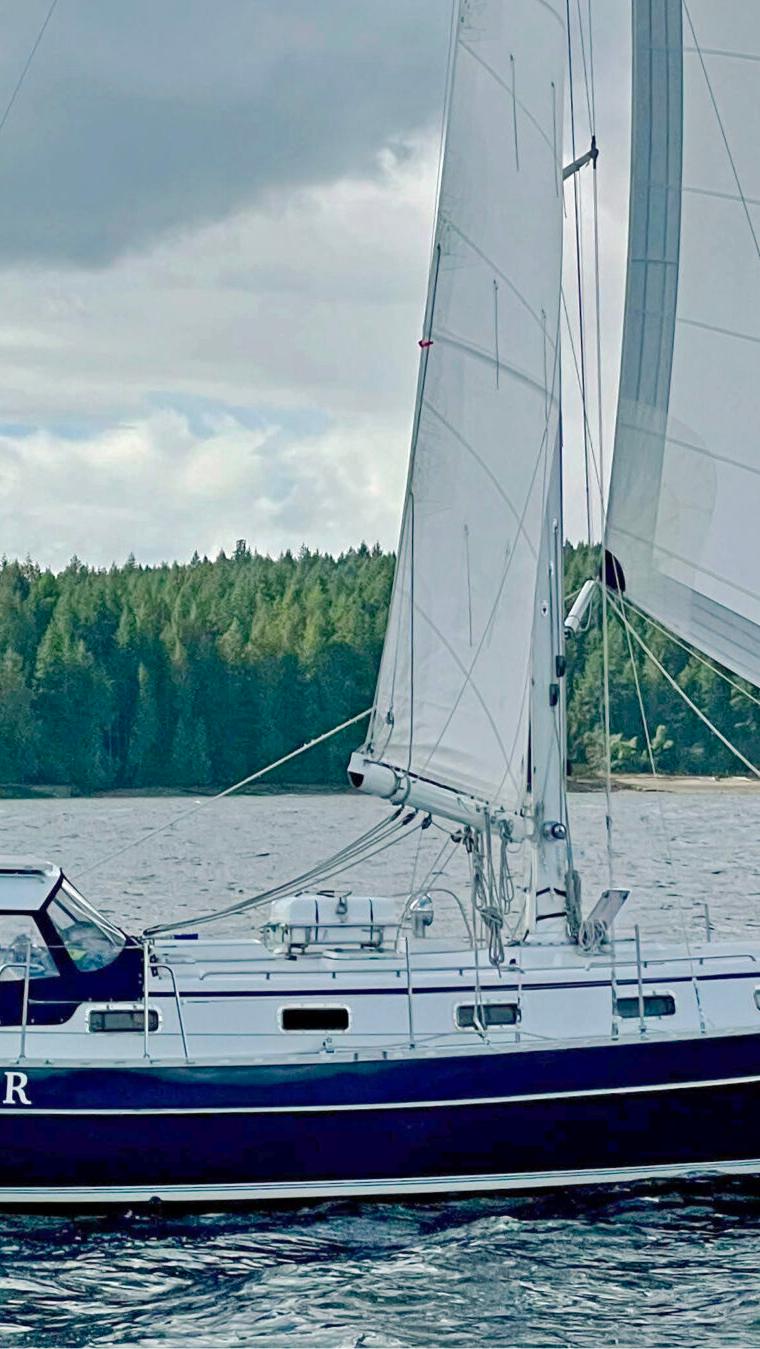 BRIGHT STAR 39