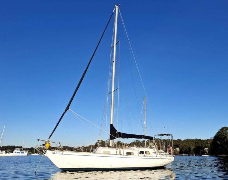 BROLGA 33