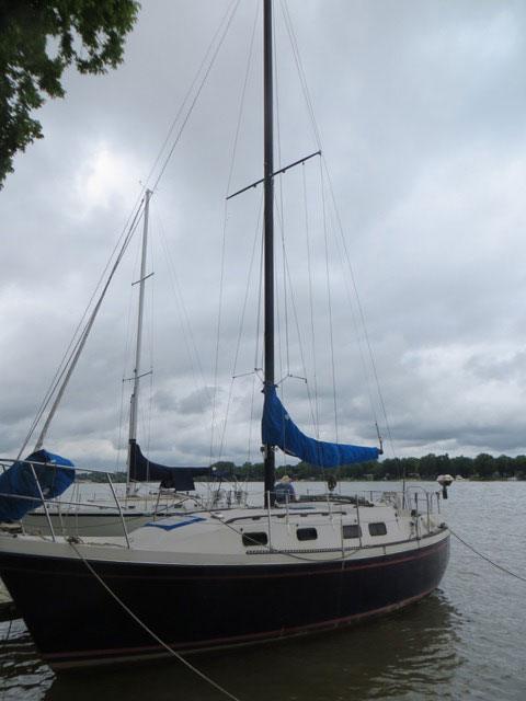 BUCCANEER 305