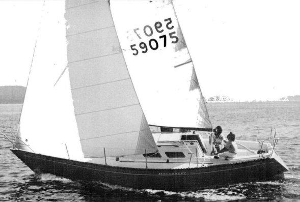BUCCANEER 335