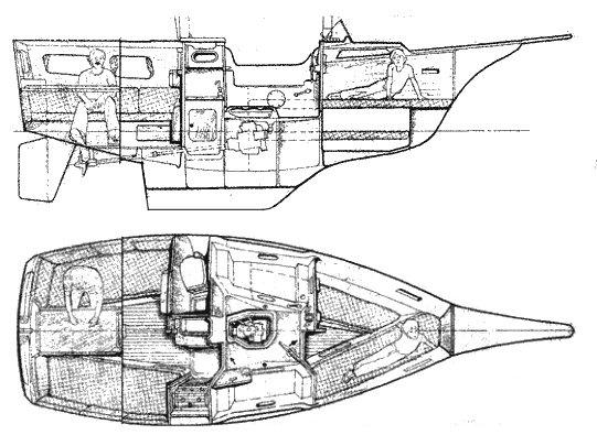 BUCKLER 24 MS