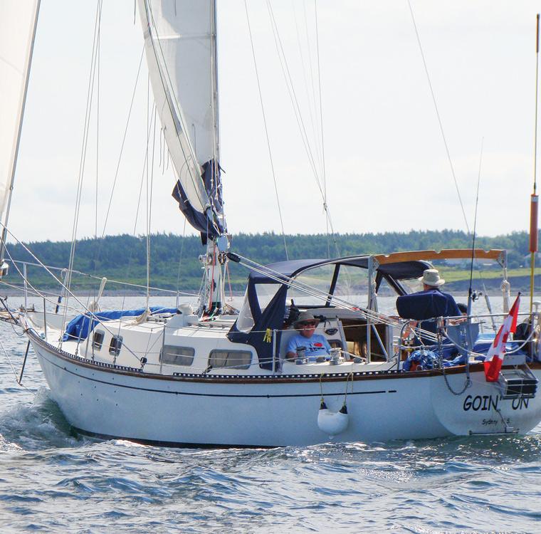 CABOT 36