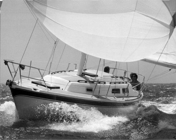 CAL 31