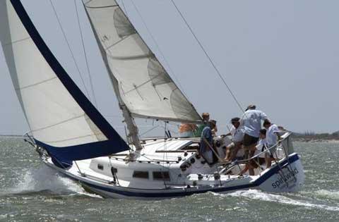 CAL 33