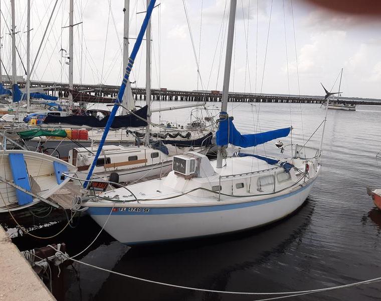 CAL 34