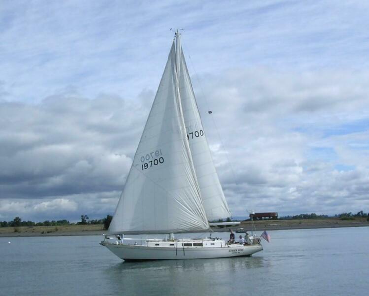 CAL 43
